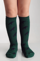 Meia Pata Boys Dinosaur Knee Socks